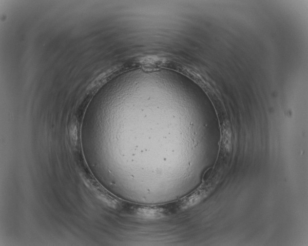 X0000082680375200702091638