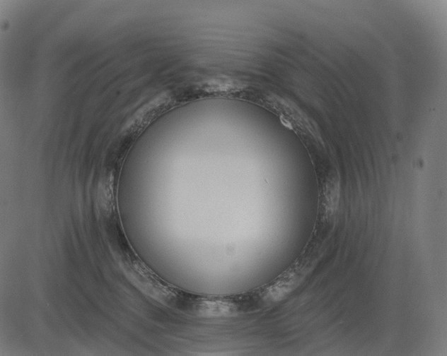 X0000082680376200702091638