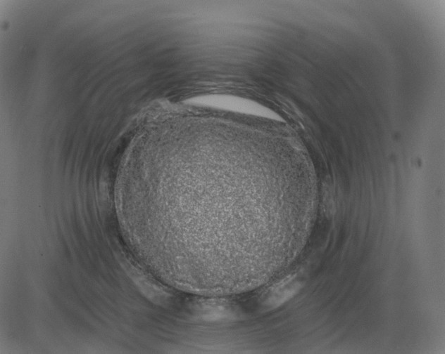 X0000082680377200702091638