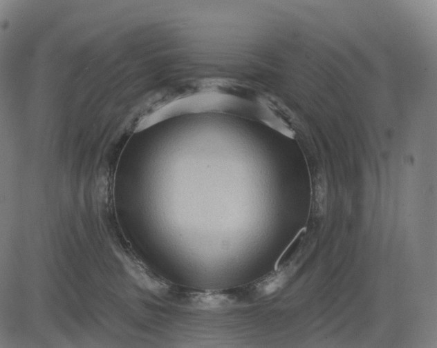 X0000082680379200702091638