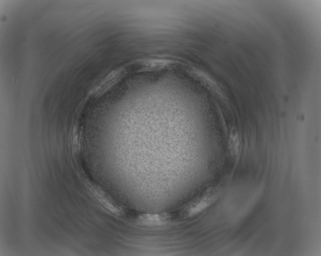 X0000082680381200702091638