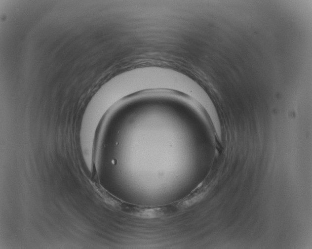 X0000082680382200702091638