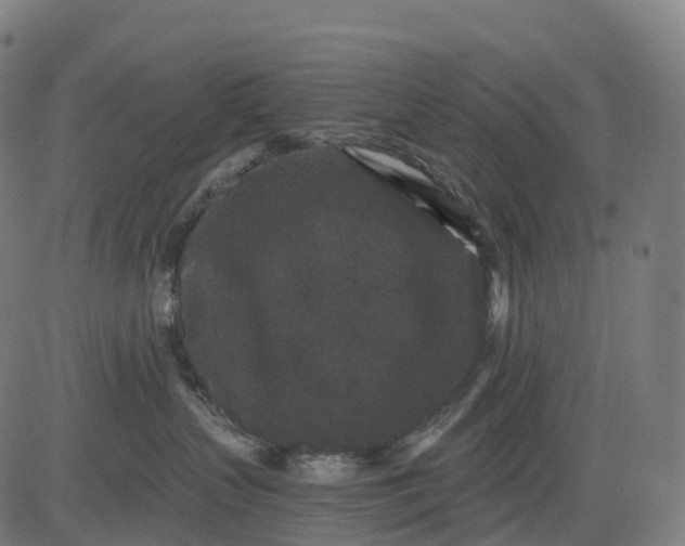 X0000082680383200702091638