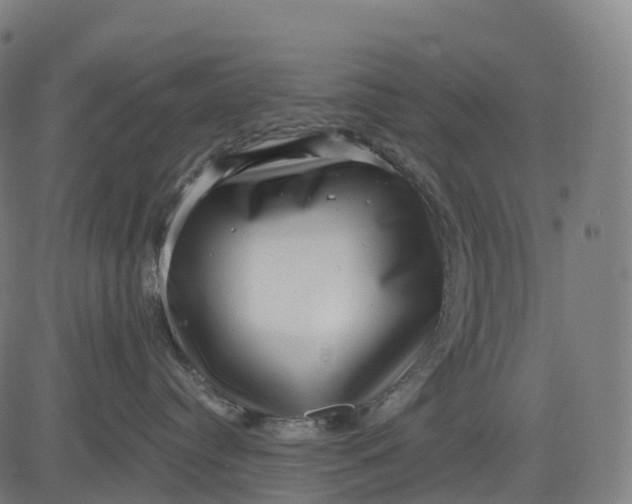 X0000082680384200702091638