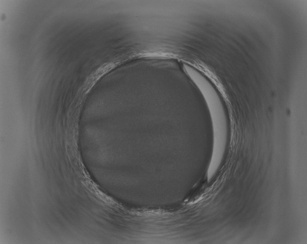 X0000082680385200702091638