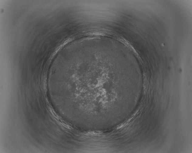 X0000082680386200702091638