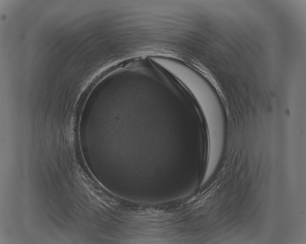 X0000082680387200702091637