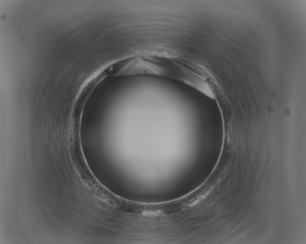 X0000082680388200702091637