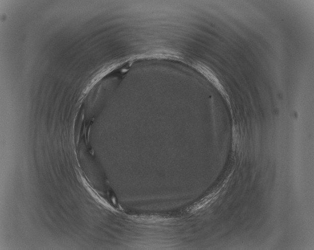 X0000082680389200702091637