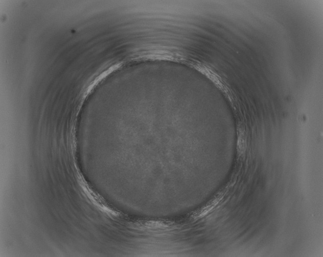 X0000082680390200702091637