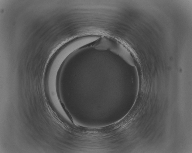 X0000082680391200702091637