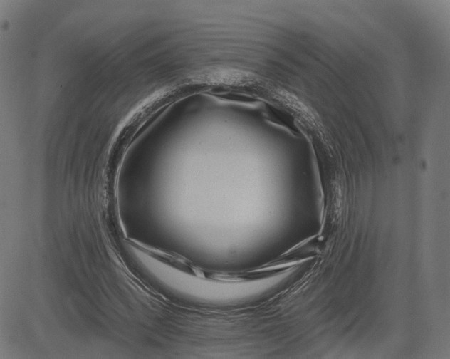 X0000082680392200702091637