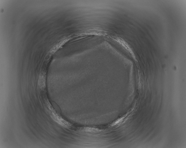 X0000082680393200702091637