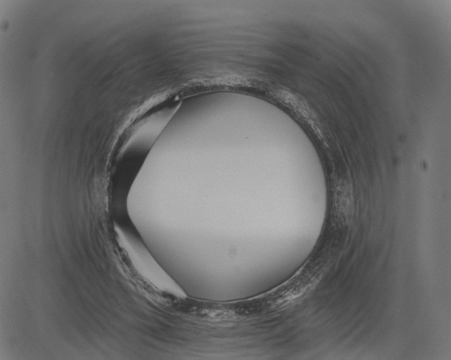 X0000082680395200702091637