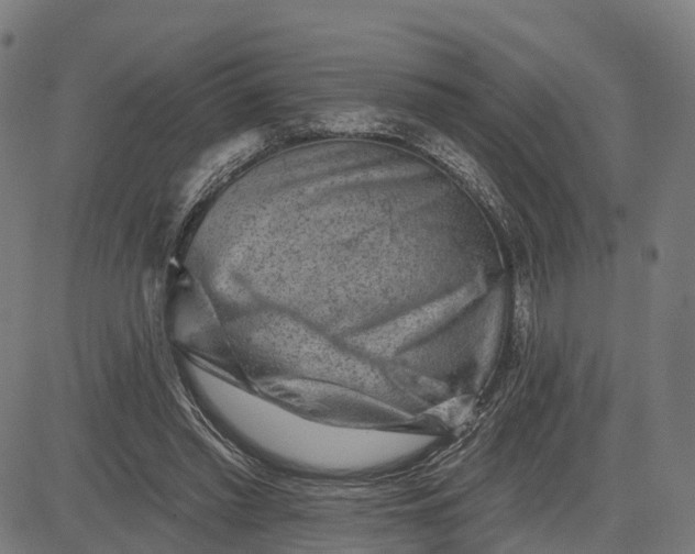 X0000082680397200702091637