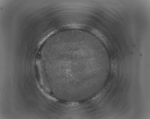 X0000082680398200702091637