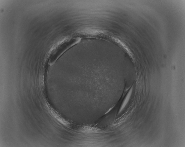 X0000082680399200702091637