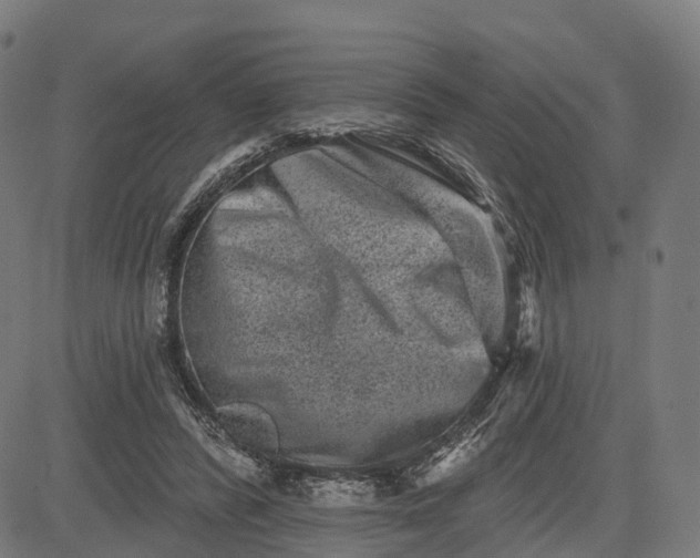 X0000082680400200702091637