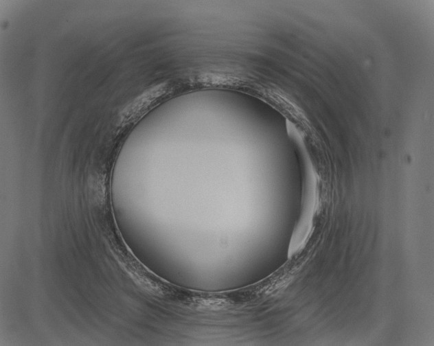 X0000082680401200702091637