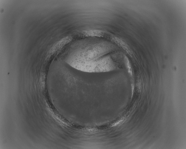 X0000082680402200702091637