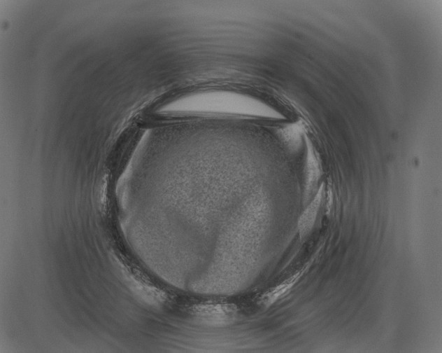 X0000082680404200702091637