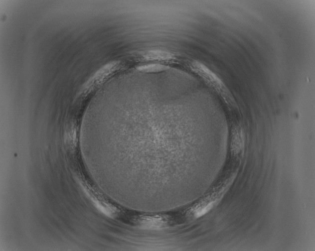 X0000082680405200702091637