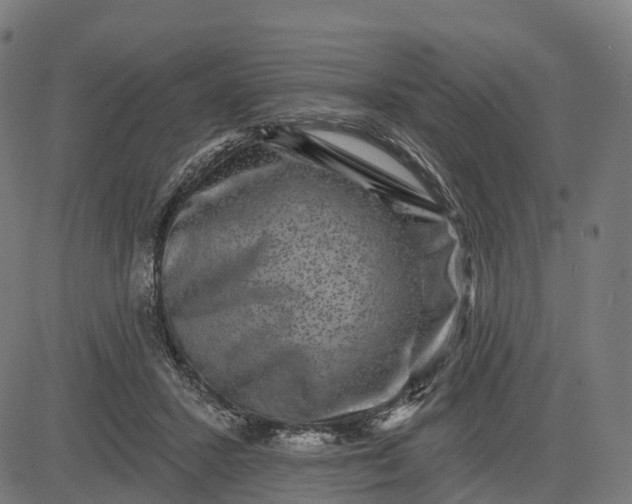 X0000082680407200702091637