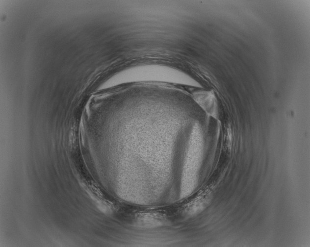 X0000082680408200702091637