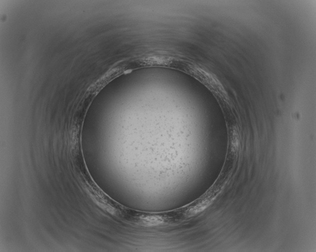 X0000082680409200702091637