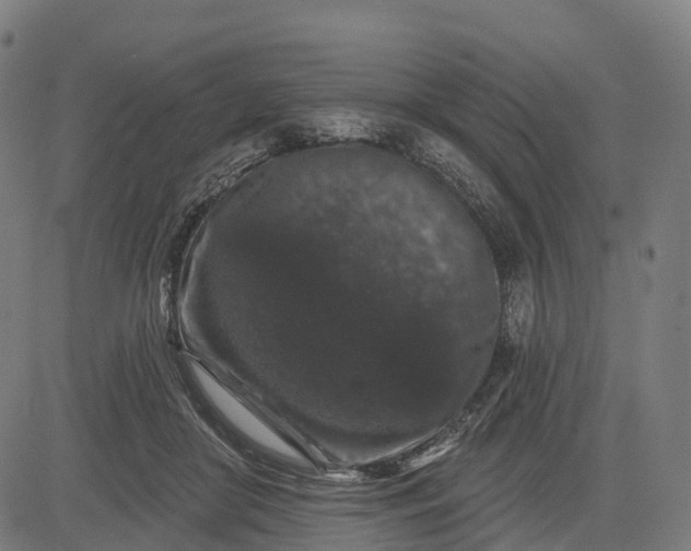 X0000082680410200702091637