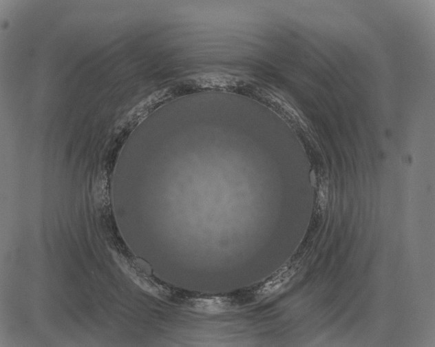 X0000082680411200702091637