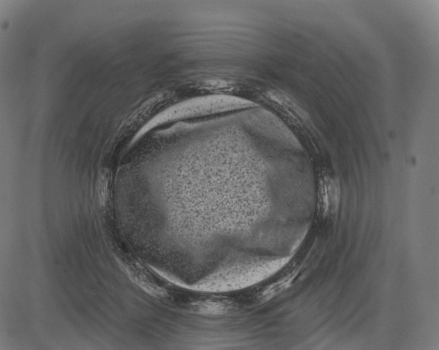 X0000082680412200702091637