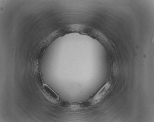 X0000082680413200702091637