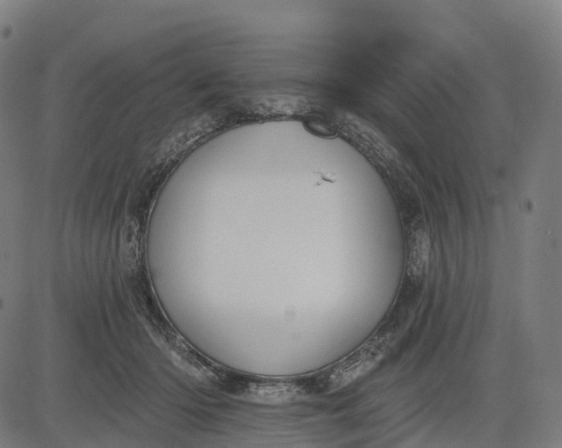 X0000082680414200702091637