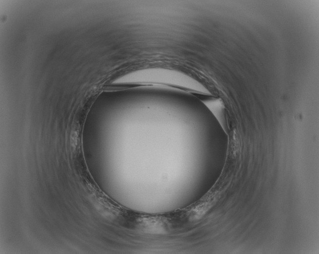 X0000082680417200702091637