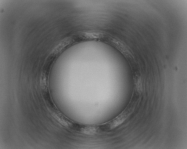 X0000082680418200702091637