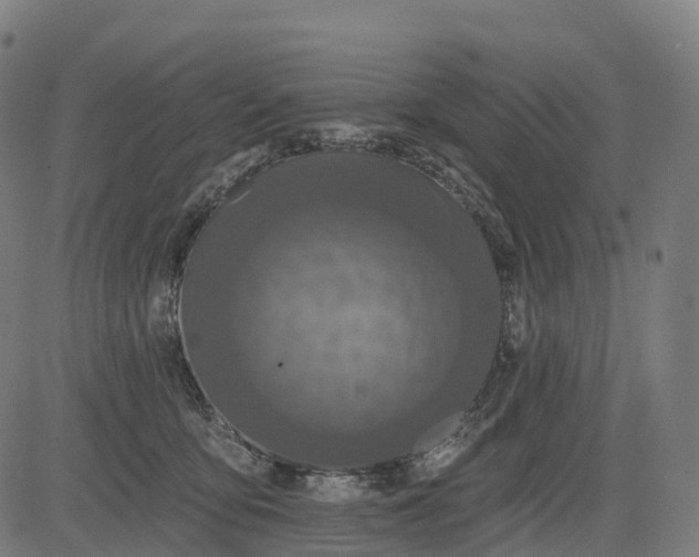 X0000082680419200702091637