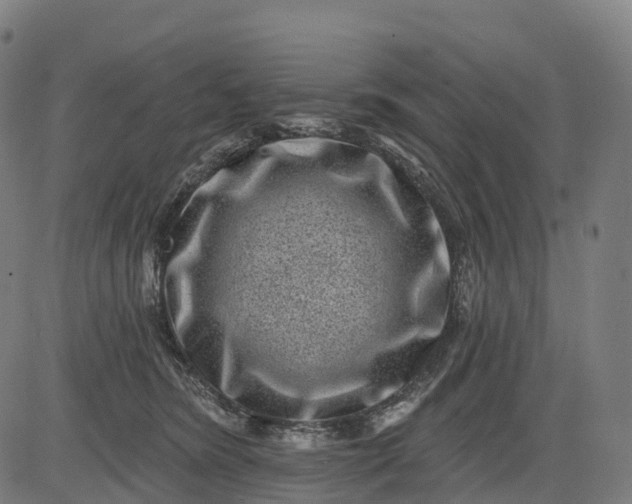 X0000082680420200702091637