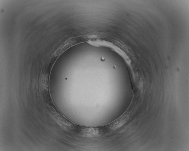 X0000082680421200702091637