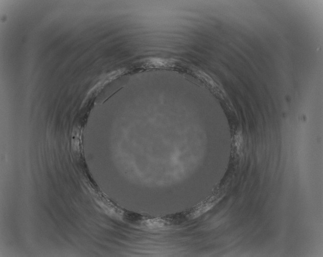 X0000082680423200702091637