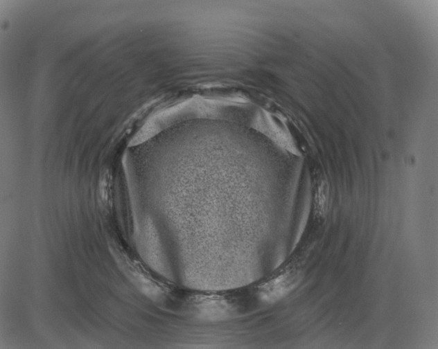 X0000082680424200702091637