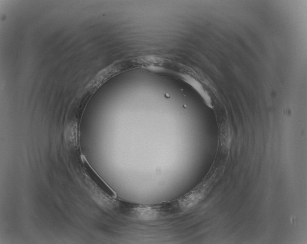 X0000082680425200702091637