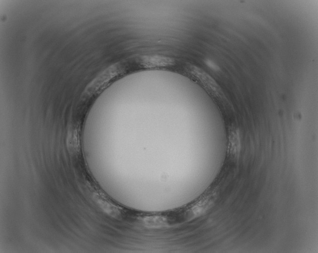 X0000082680426200702091637