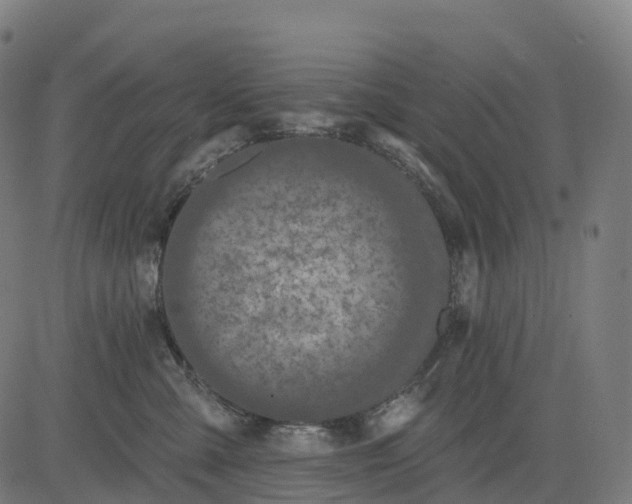 X0000082680427200702091637