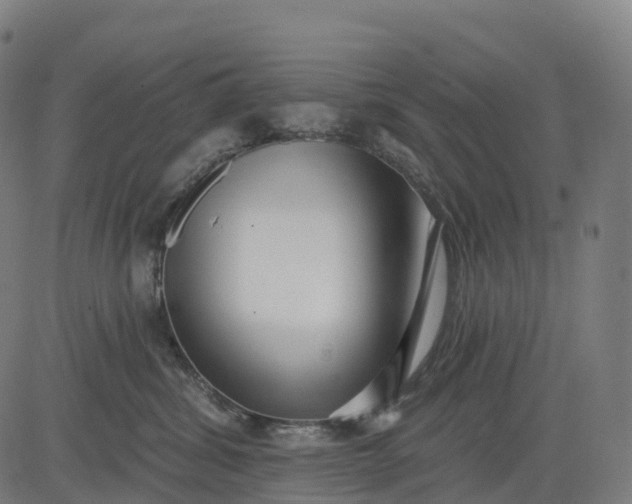 X0000082680428200702091637