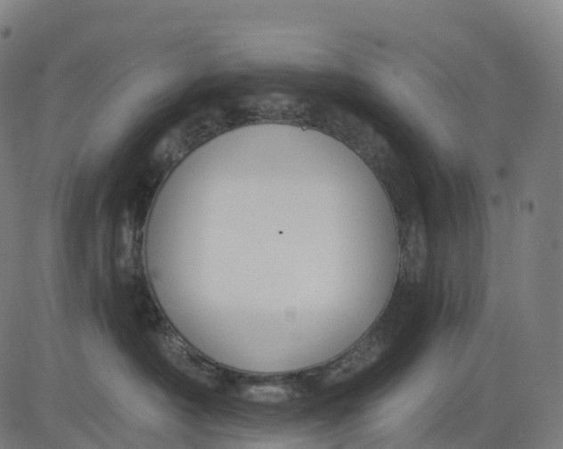 X0000082680430200702091637