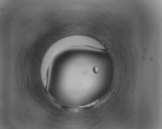 X0000082680432200702091637