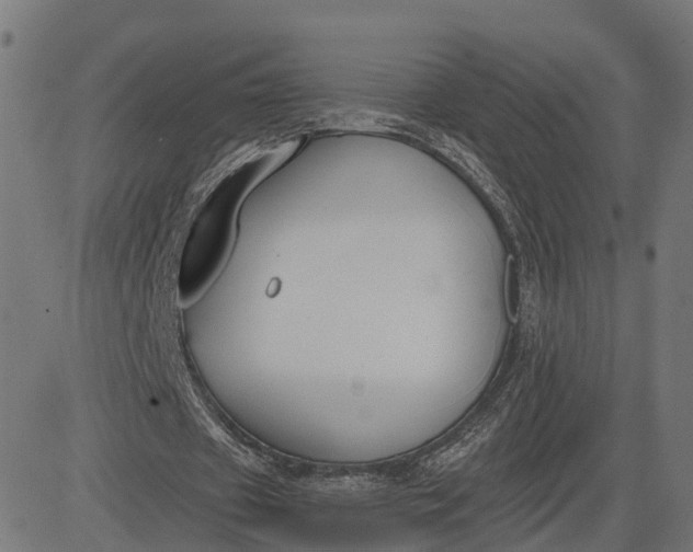 X0000082680433200702091636