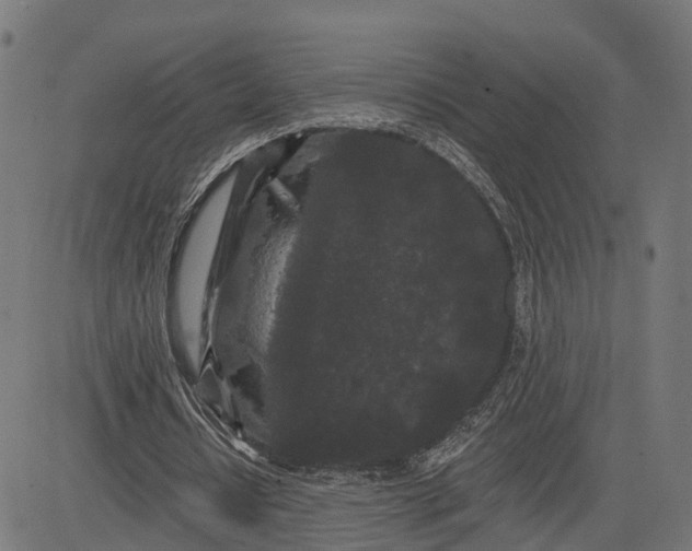 X0000082680434200702091636