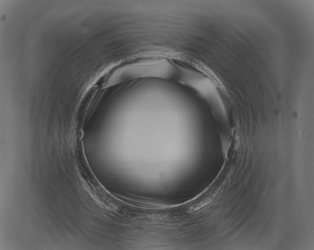 X0000082680436200702091636